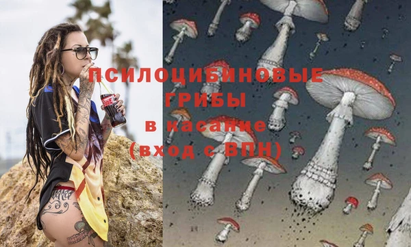 прущая мука Абаза